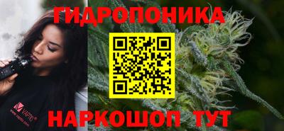 сатива Будённовск