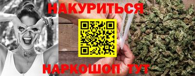 сатива Будённовск